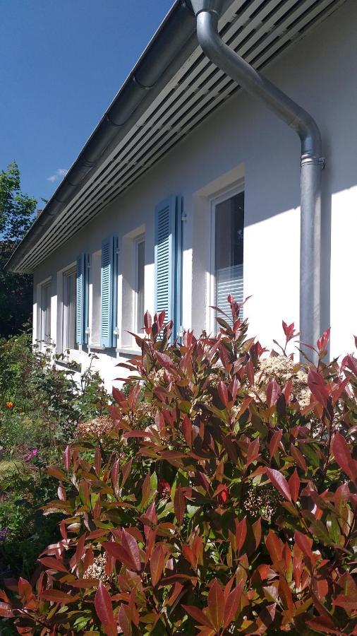 Gartenchalet Rotkehlchen Bad Homburg vor der Höhe Dış mekan fotoğraf